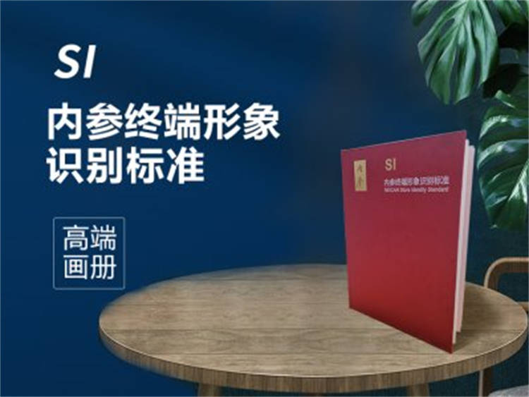 內(nèi)參 高端企業(yè)形象畫冊